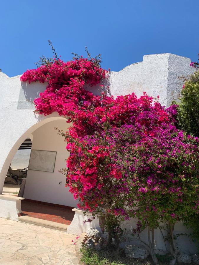 Villa Cecilia Polignano a Mare Exterior foto